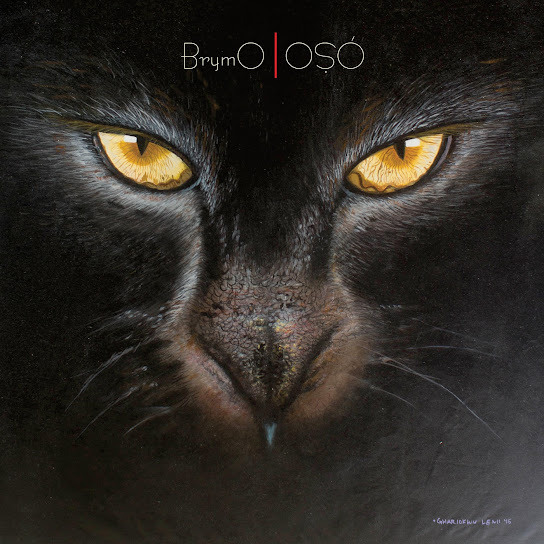 Cover art of Brymo – Ọlánrewájú