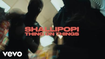 Cover art of Shallipopi – Things On Things