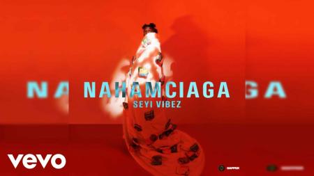 Cover art of Seyi Vibez – Cana