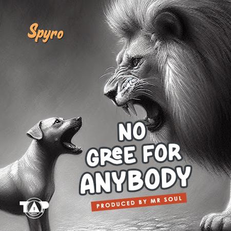 Cover art of Spyro – No Gree For Anybody (NGFA)