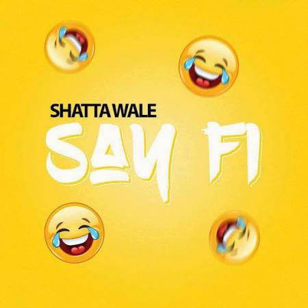 Cover art of Shatta Wale – Say Fi