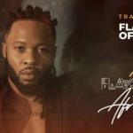 Flavour – of Africa