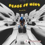 Shemi – Peace Of Mind (Remix) Ft Juno Kizigenza