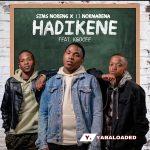 Sims Noreng – Hadikene ft 13 Nor Mabena & Kgocee