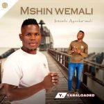 Mshinwemali – Ngicel Uhambe Ft. Zothando