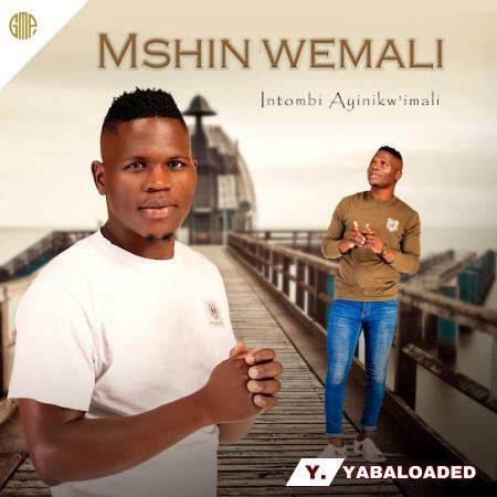 Mshinwemali – Ngicel Uhambe Ft. Zothando Latest Songs