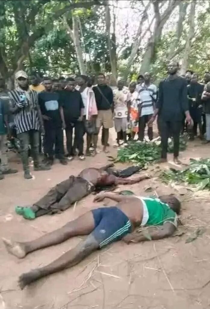 Cover art of Tragedy in Ihamufu as Fulani Herdsmen Attack Ihamufu, Isi-Uzo, Enugu State, Nigeria